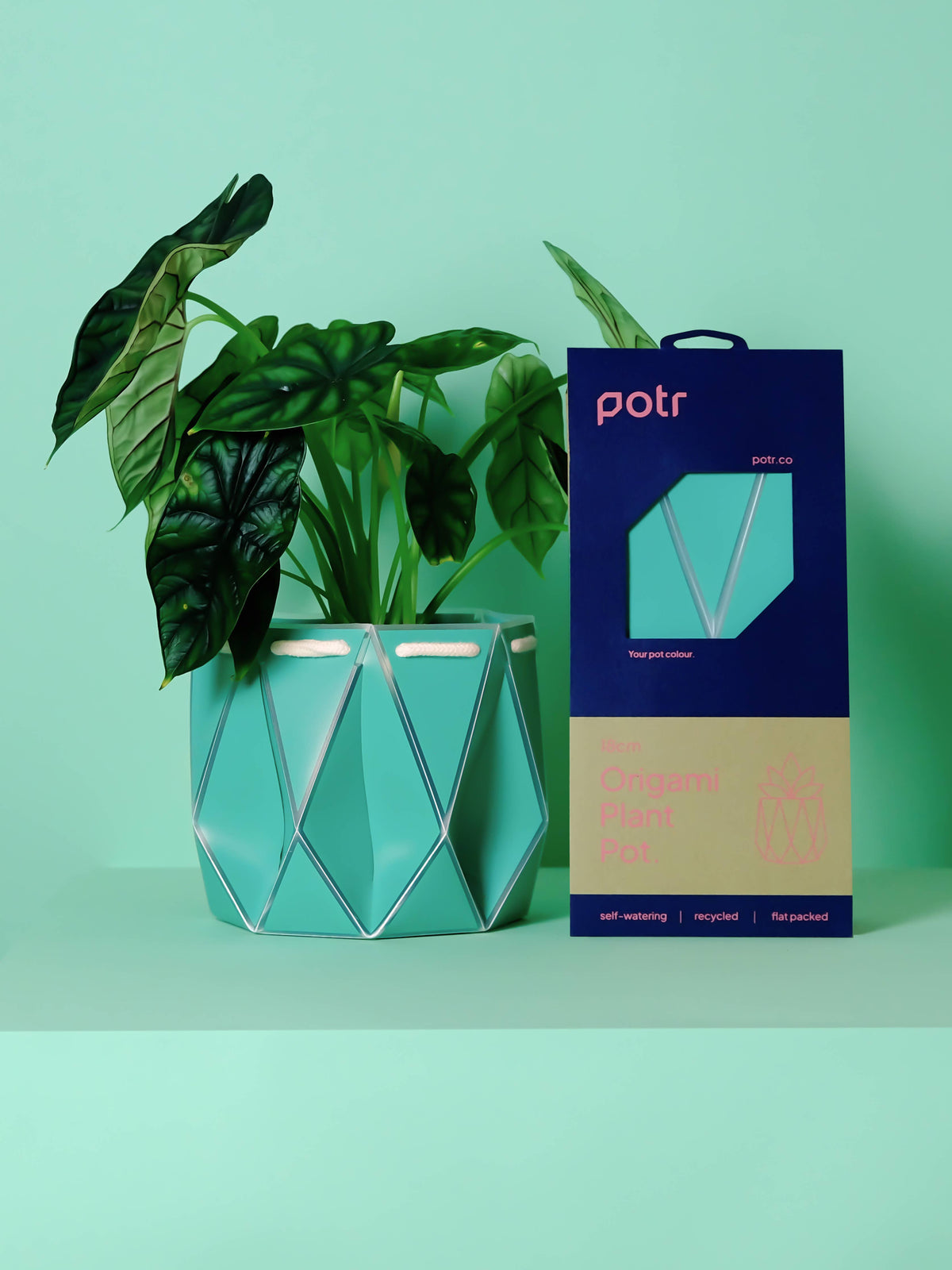 POTR | Aqua Blue Self-Watering Plant Pot | 18cm