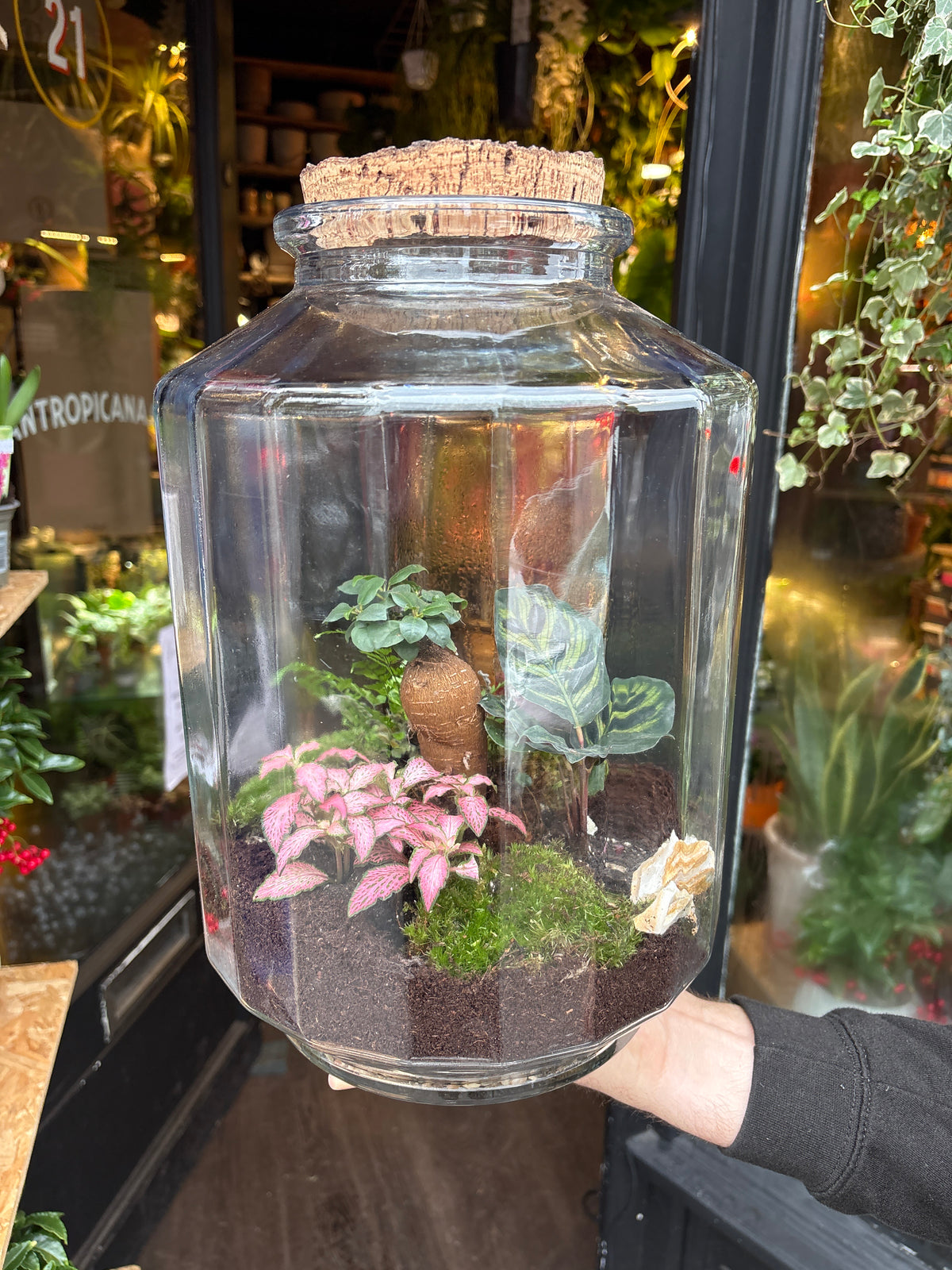 Terrarium Strepe