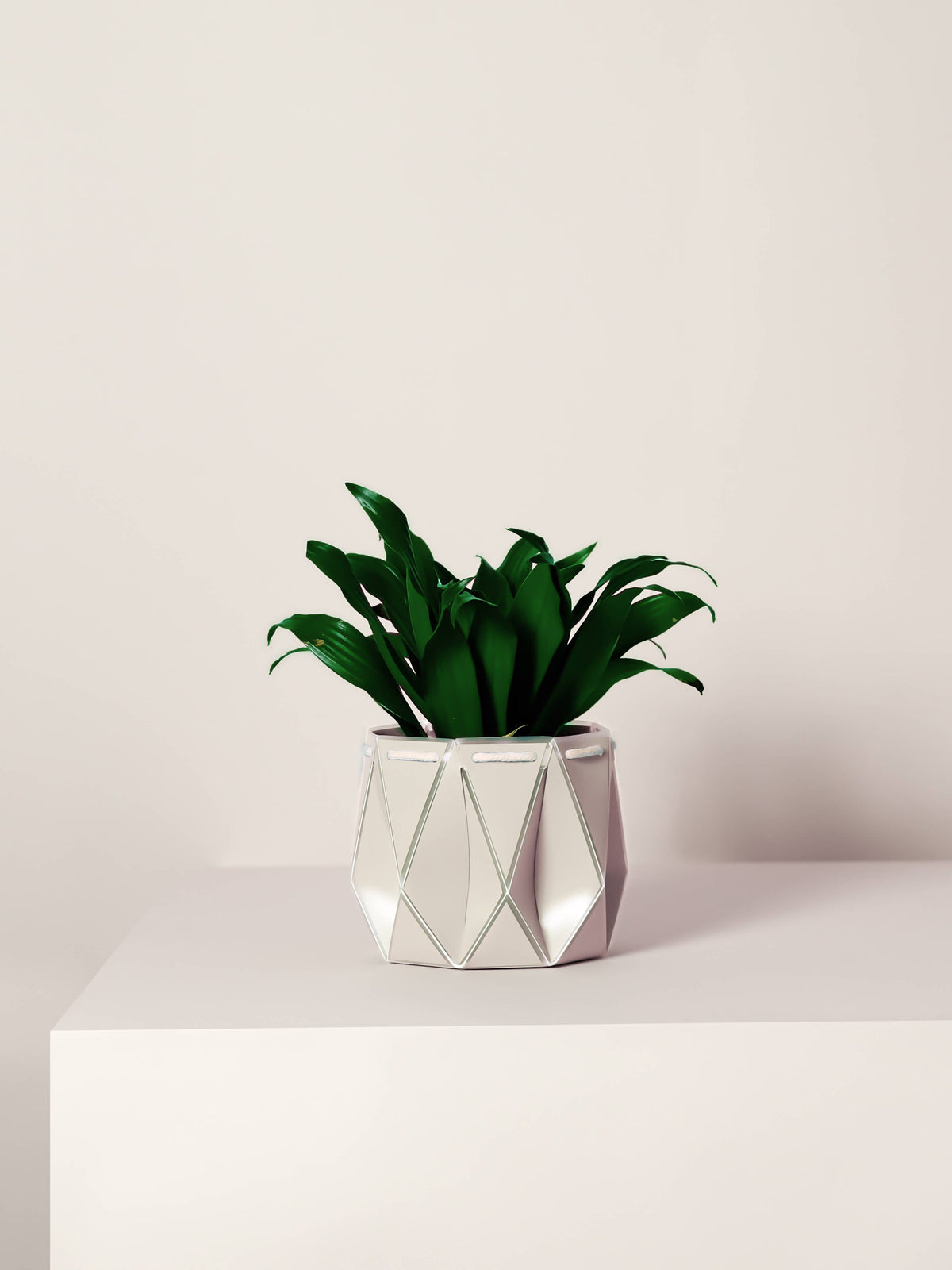 POTR | Ivory White Self-Watering Plant Pot | 18cm