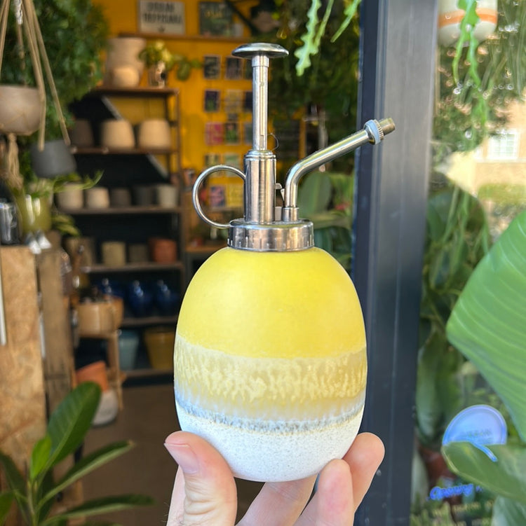 Mojave Glaze Yellow Ceramic Mister in front of Urban Tropicana’s store in Chiswick, London