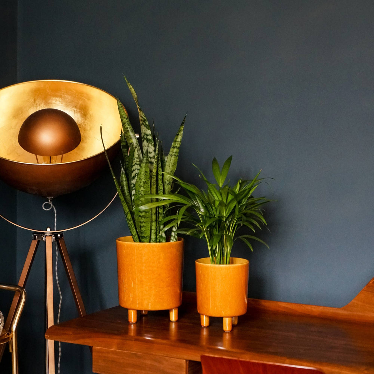 Pisa Premium Glaze Ceramic Indoor Plant Pot | Mustard | 16cm