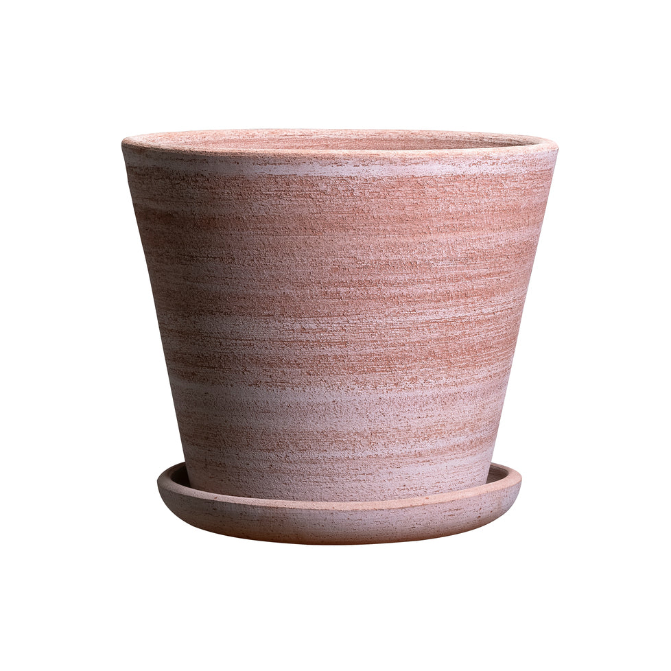 Bergs Potter Julie Rosa Pot & Saucer from Urban Tropicana’s plant shop in Chiswick London