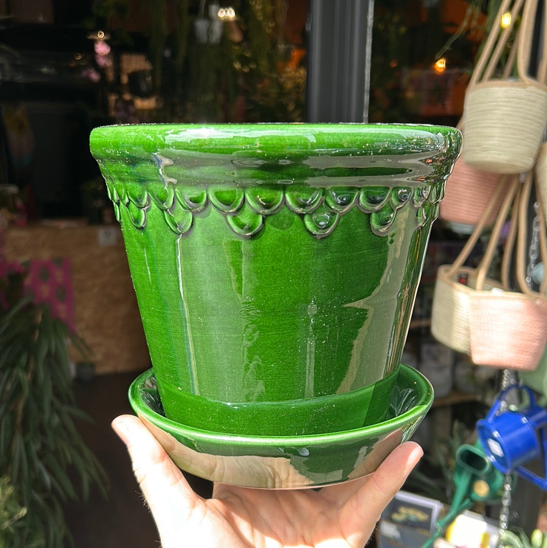 A Bergs Potter Copenhagen Emerald Green Pot & Saucer from Urban Tropicana’s plant shop in Chiswick London
