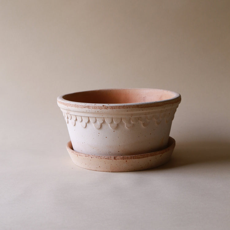 A Bergs Potter Copenhagen Rosa Low Pot & Saucer from Urban Tropicana’s Plant Shop in Chiswick London