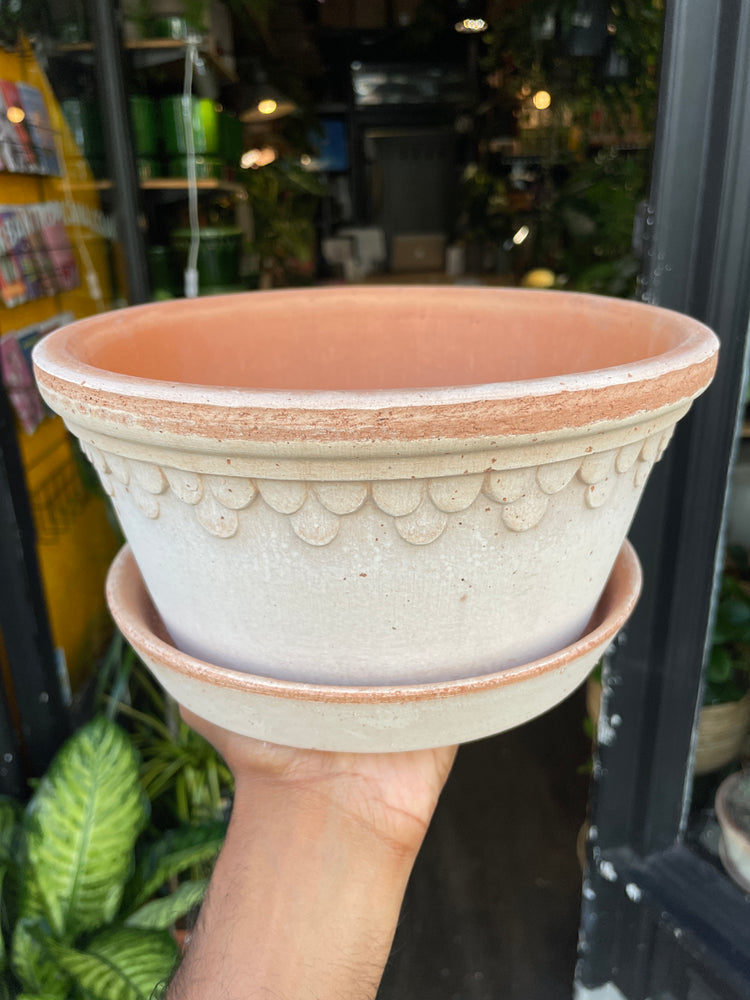 A Bergs Potter Copenhagen Rosa Low Pot & Saucer from Urban Tropicana’s Plant Shop in Chiswick London