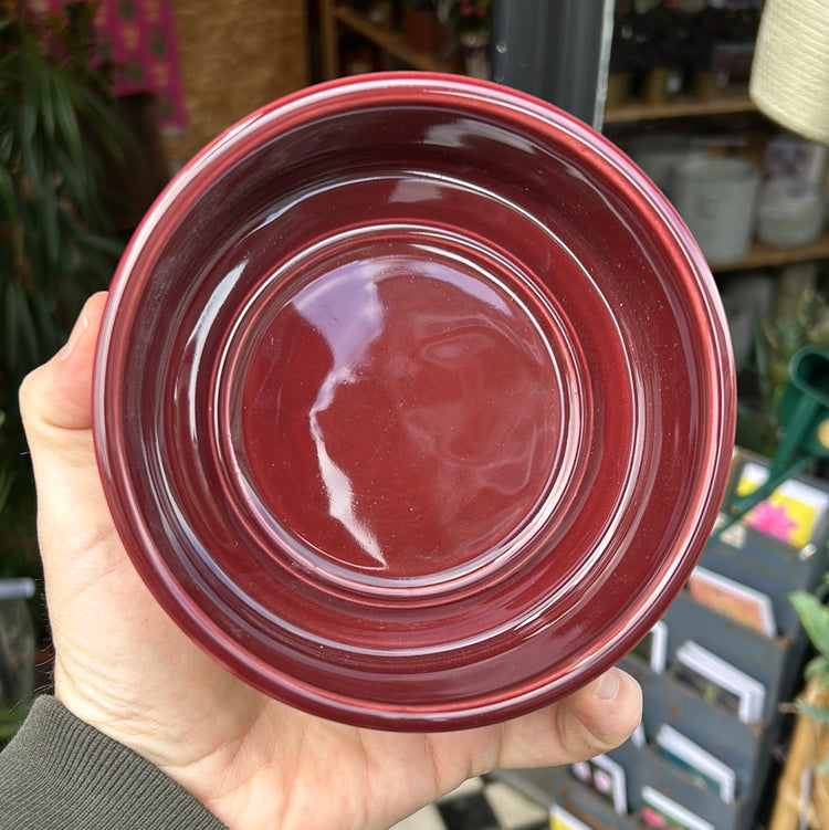 A Bergs Potter Hoff Glazed Deep Burgundy Saucer from Urban Tropicana’s plant shop in Chiswick London