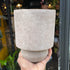 A Bergs Potter Hoff Grey Pot from Urban Tropicana’s plant shop in Chiswick London