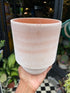 A Bergs Potter Hoff Rosa Pot from Urban
Tropicanas Plant Shop in Chiswick London