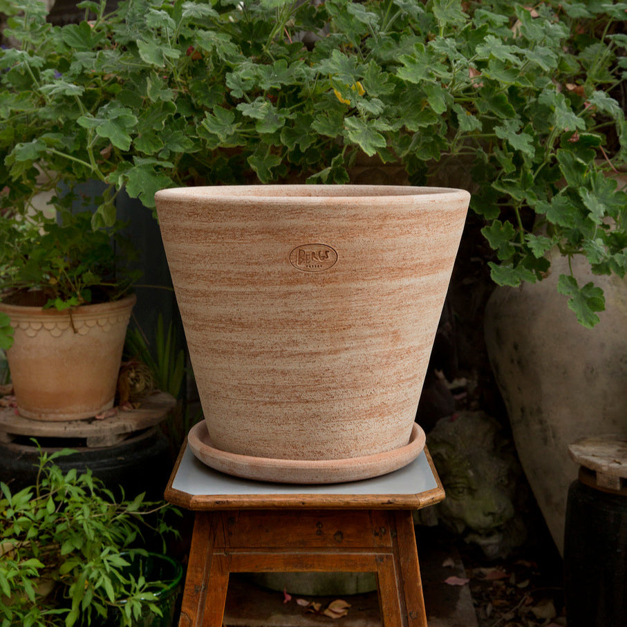 A Bergs Potter Julie Rosa Pot & Saucer from Urban Tropicana’s plant shop in Chiswick London