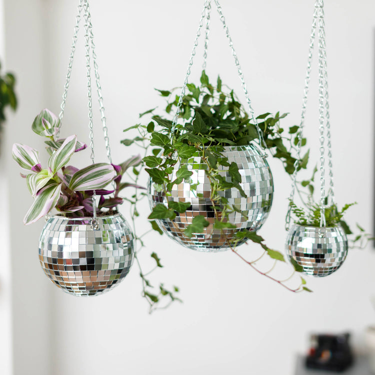 Disco ball hanging planter 8-inch outside Urban Tropicana plant shop in Chiswick, London