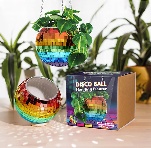 Disco ball hanging planter in rainbow with plant and box