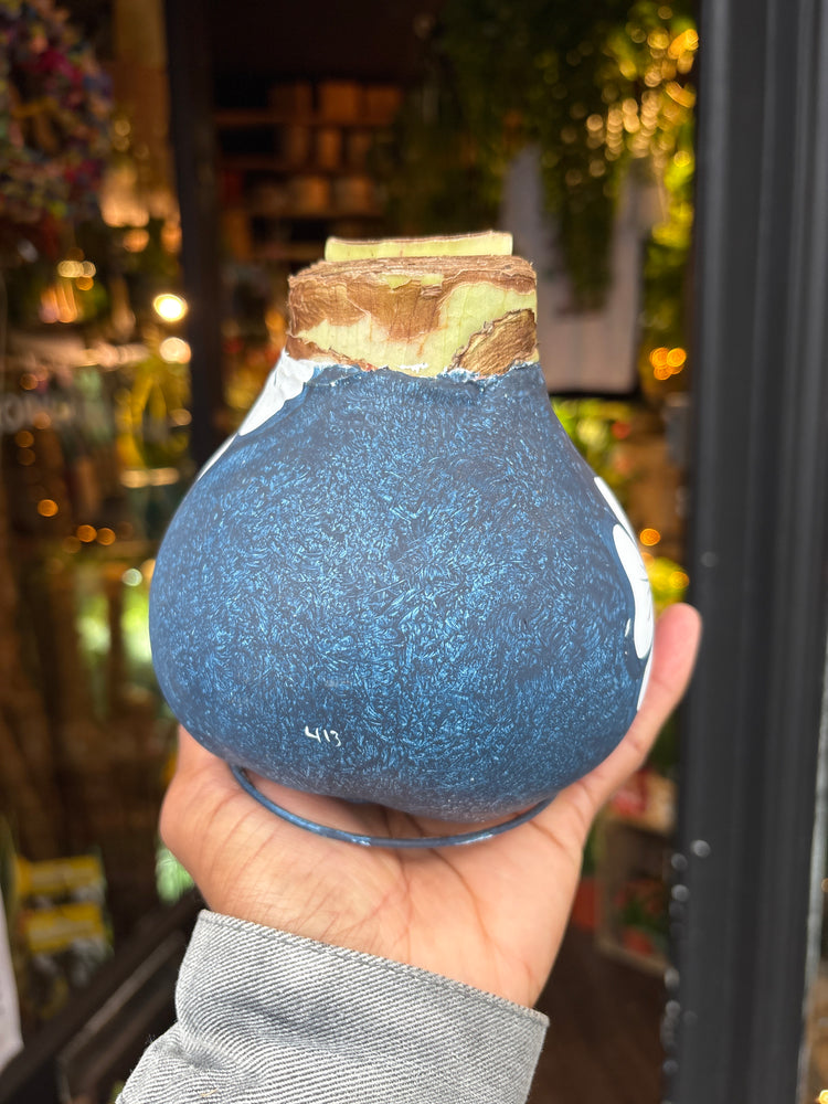 A Hand Painted Blue Amaryllis in front of Urban Tropicana’s Plant Shop in Chiswick London