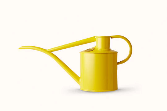Haws Fazeley Flow Two Pint Lotus Yellow watering can in front of a white background
