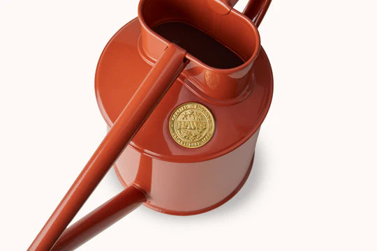 Haws Fazeley Flow Two Pint Terracota Orange watering can in front of a white background