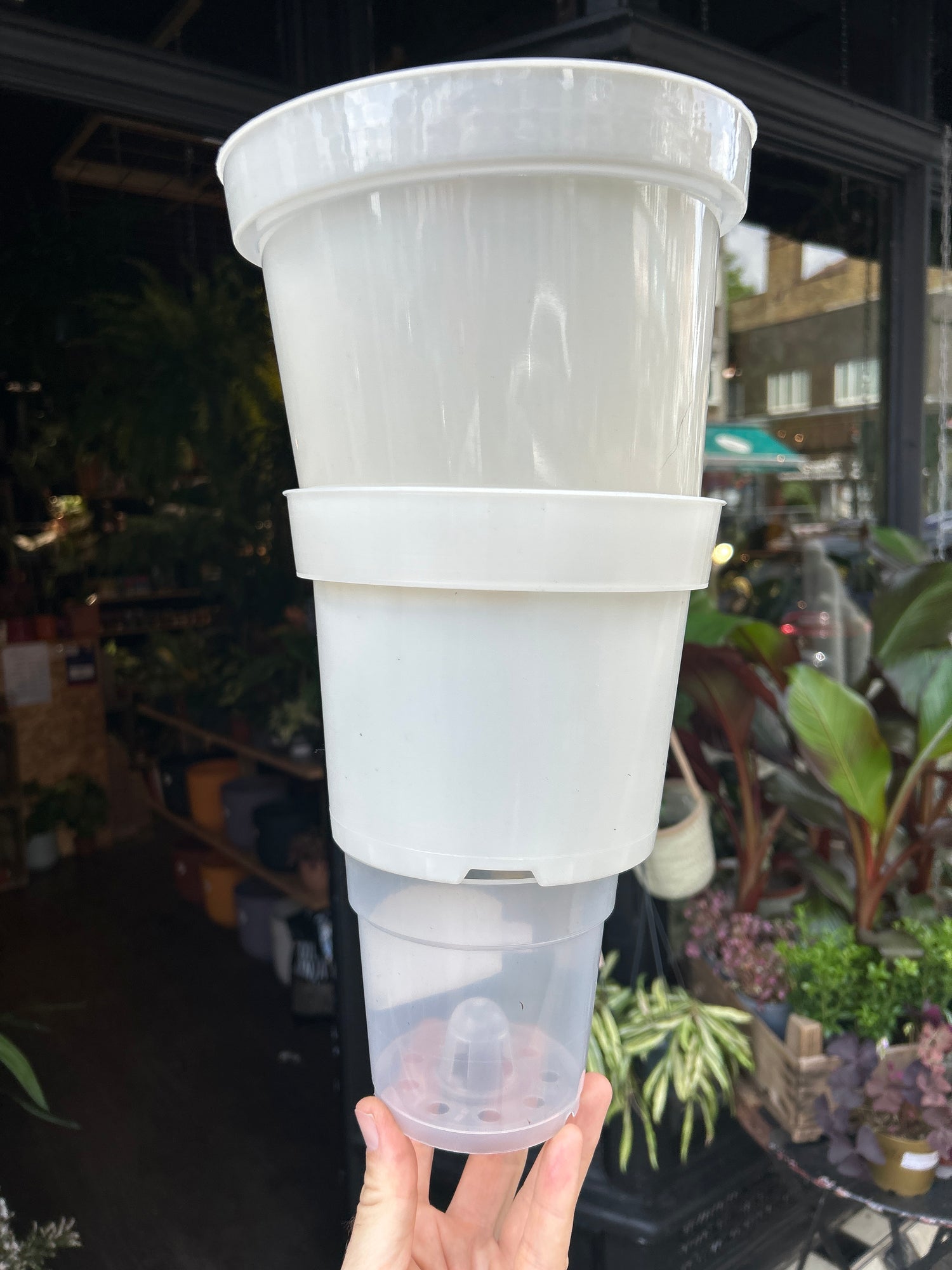 Clear plastic nursery pots in front of Urban Tropicana’s Plant Shop in Chiswick London
