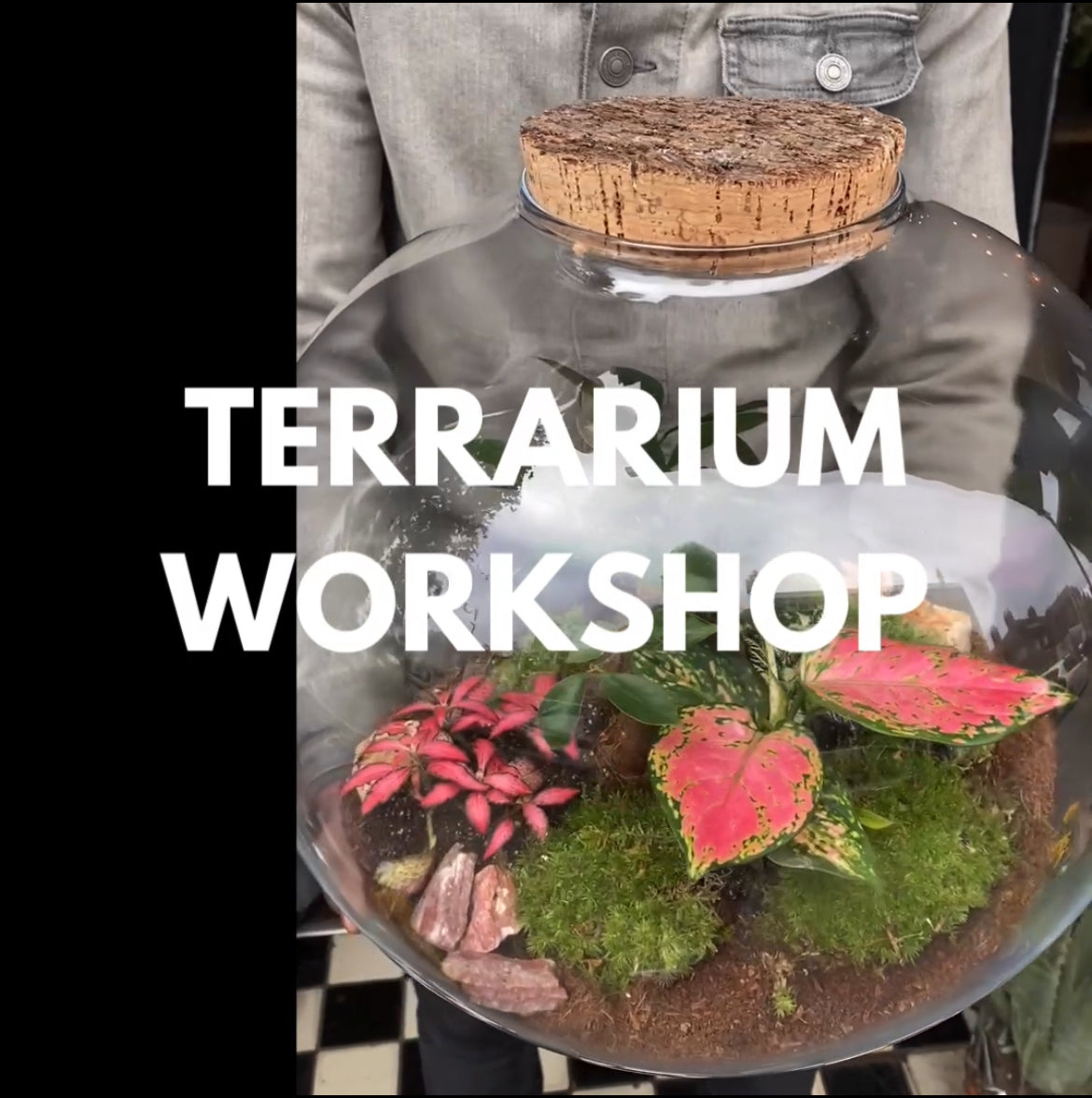 A Terrarium workshop by Urban Tropicana in west London, Chiswick