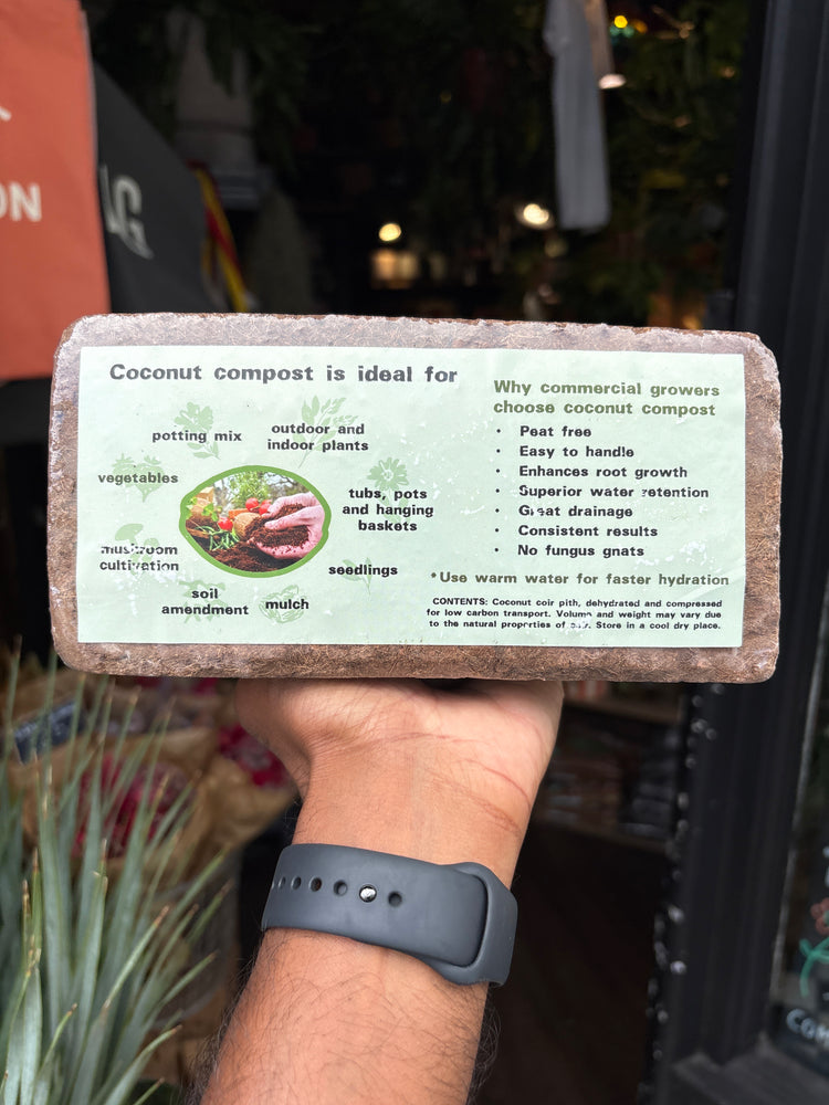 The Coconut Compost Company Premium Coconut Coir Compost Brick in front of Urban Tropicana, a houseplant store in Chiswick.