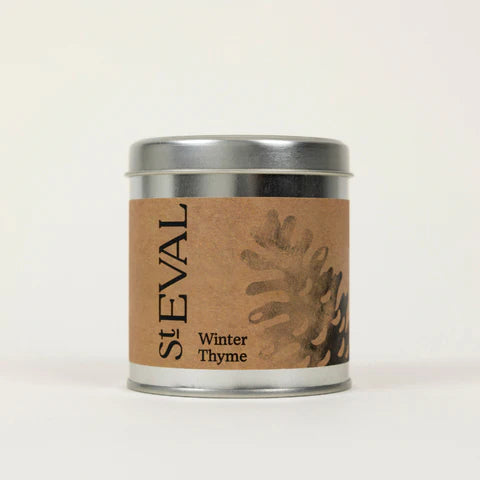 Winter Thyme Scented Tin Candle | St. Eval