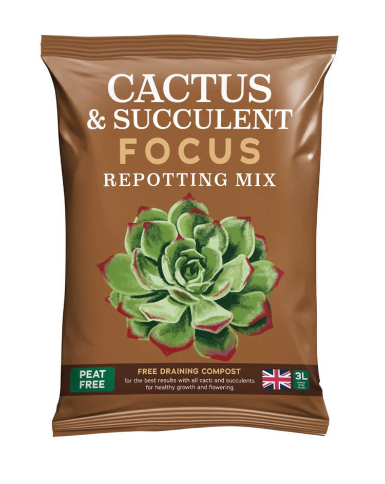 Bag of cactus and succulent repotting mix with a green succulent illustration on a brown background.