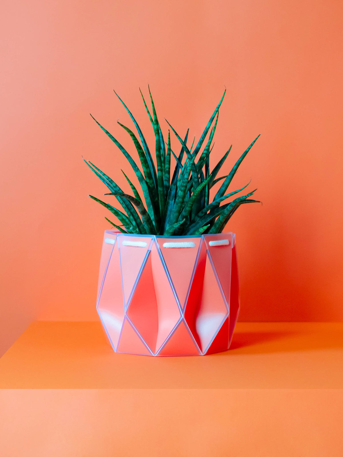 POTR | Coral Orange Self-Watering Plant Pot | 18cm