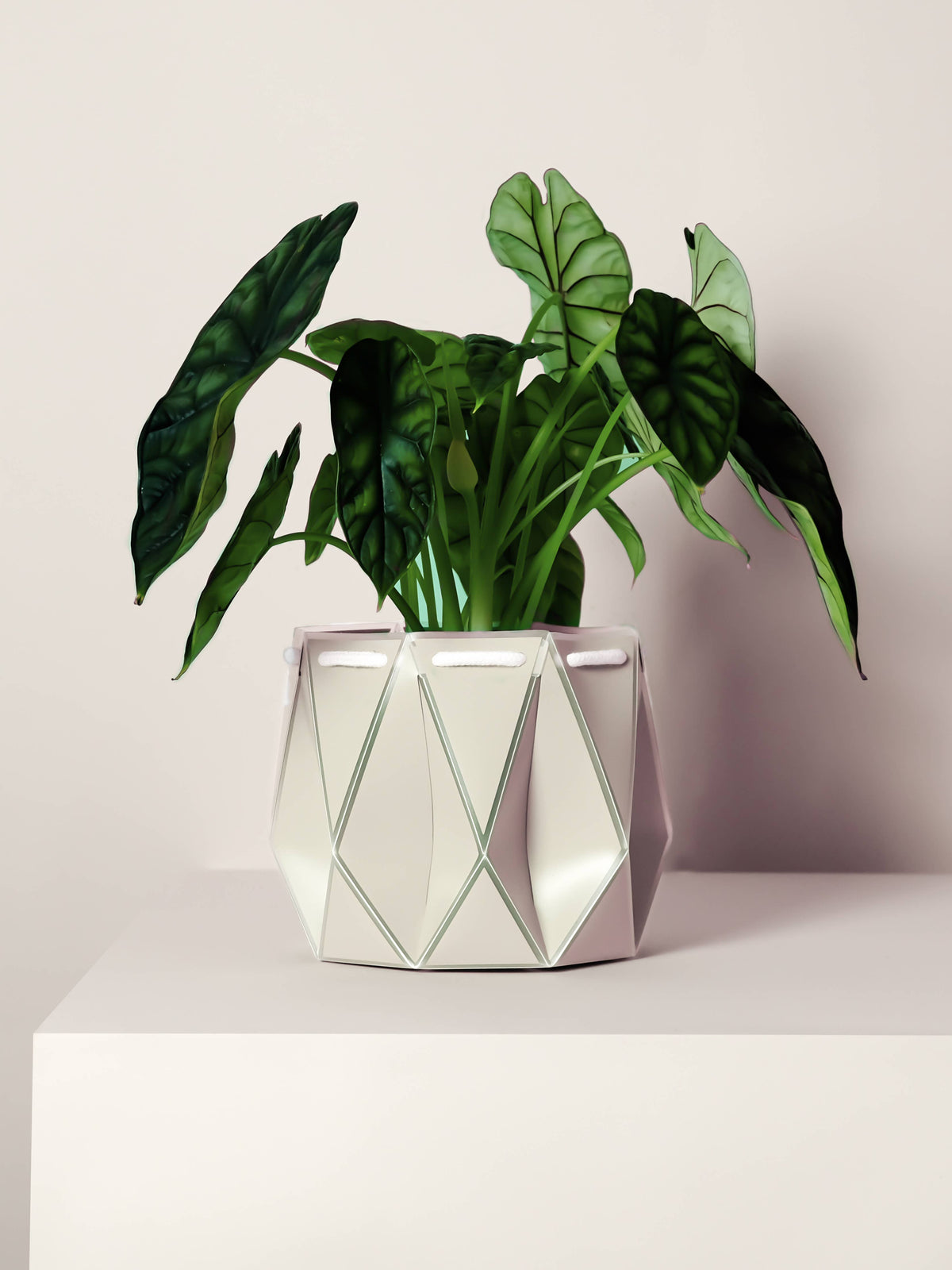 POTR | Ivory White Self-Watering Plant Pot | 18cm