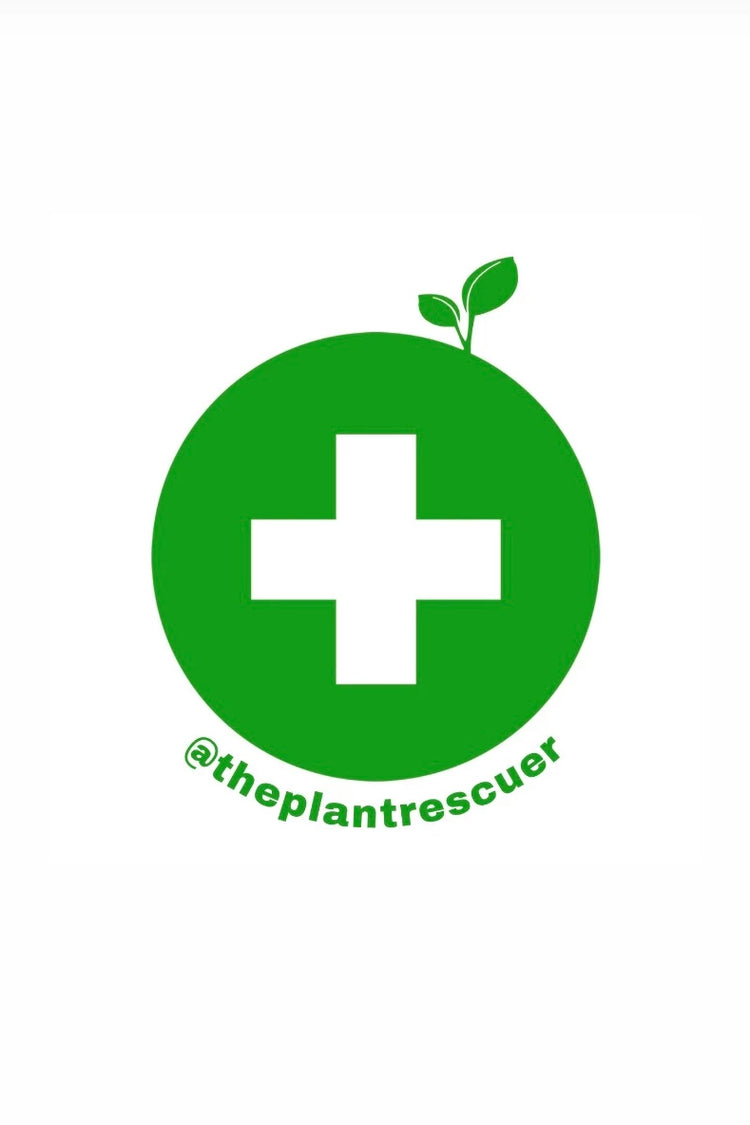 The plant rescuer Sarah Gerrard-Jones logo a green circle with a white cross in the middle and two green leaves sprouting out of the top