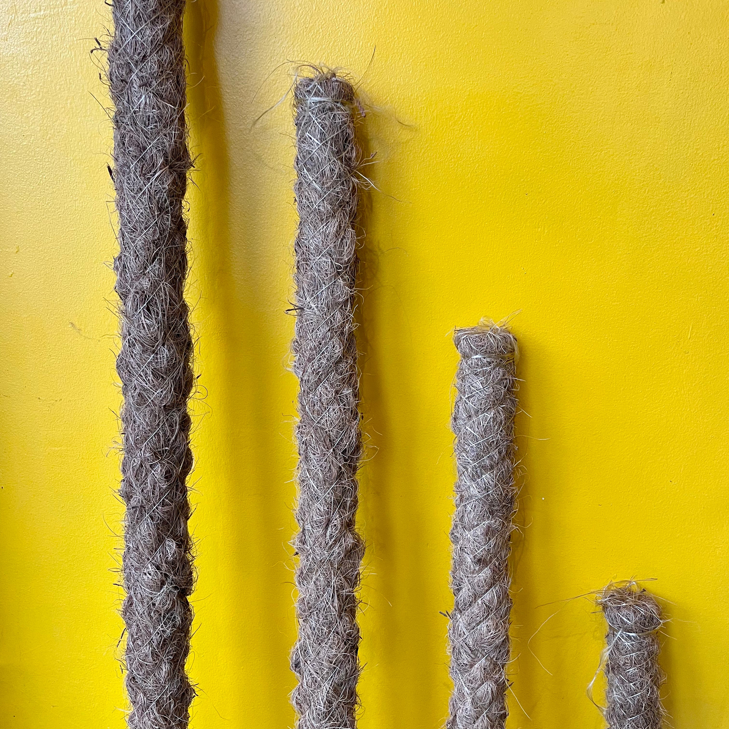 moss pole uk Moss Pole - Plant Care - Plant Shop