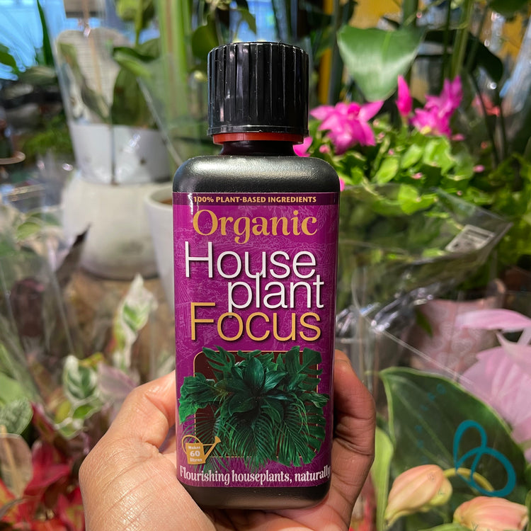 Bottle of “Organic Houseplant Focus” in Urban Tropicana&