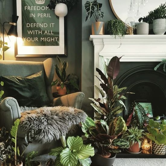 A living room with moss green painted walls and a white fireplace with all different houseplants on the mantel piece in the hearth in front of a green wing back armchair with a furry throw