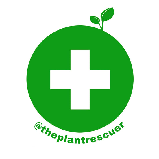The plant rescuer Sarah Gerrard-Jones logo a green circle with a white cross in the middle and two green leaves sprouting out of the top 
