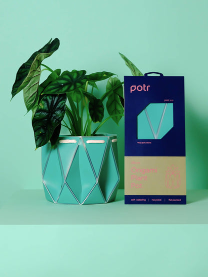 POTR | Aqua Blue Self-Watering Plant Pot | 18cm