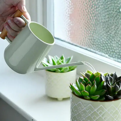Indoor Watering Can | Pale Jade