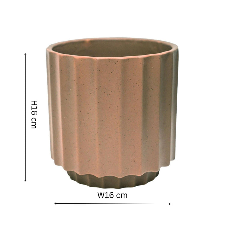 Decorative clay beige ‘Bourton Scalloped’ planter with no drainage holes for indoor houseplants, cacti and succulents. 16cm in diameter. Foam pads on the base for protection. 