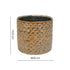 Decorative glazed and embossed finished mustard yellow pot with no drainage holes for indoor houseplants, cacti and succulents. With an 18cm diameter. 