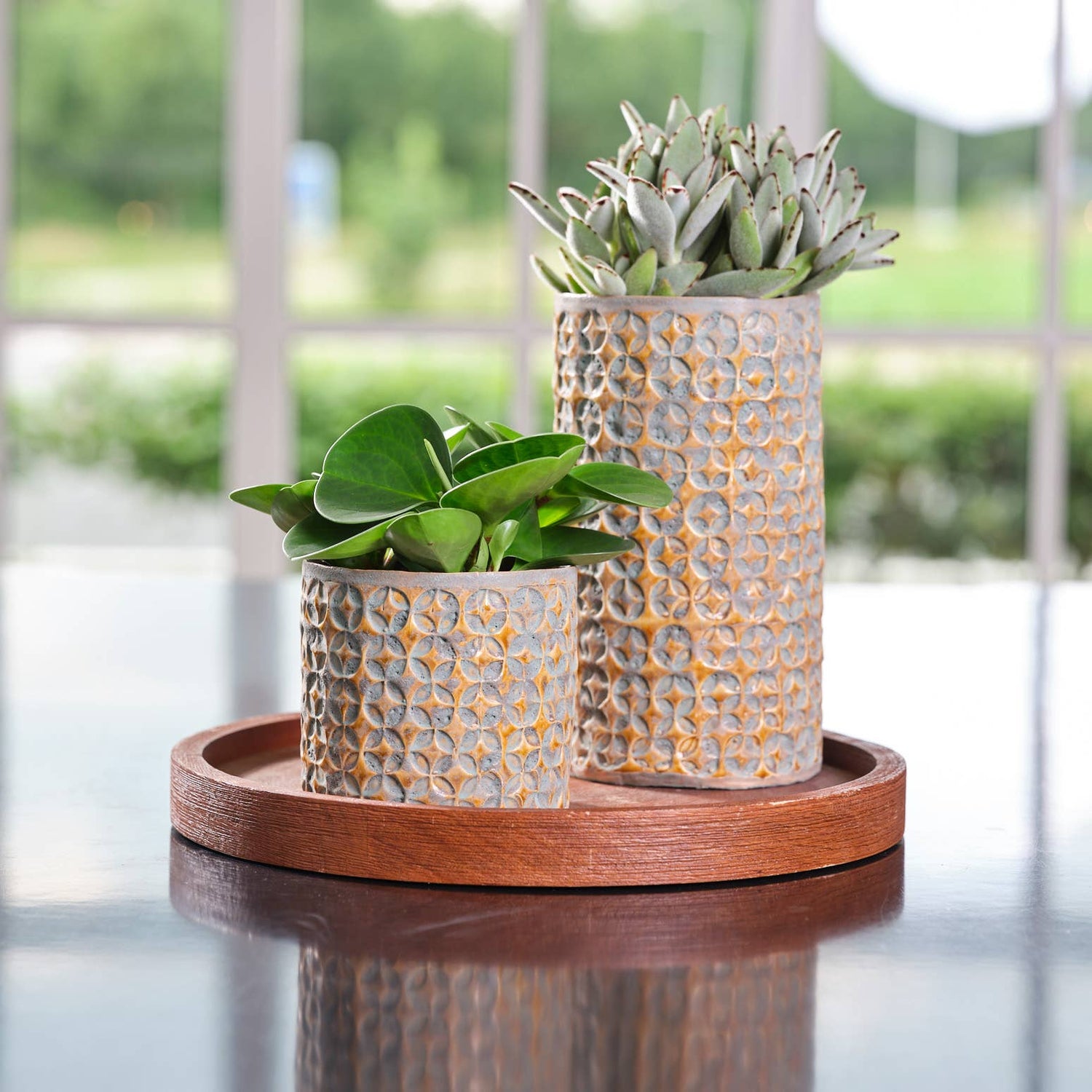 Decorative glazed and embossed finished mustard yellow pot with no drainage holes for indoor houseplants, cacti and succulents. With an 18cm diameter. 