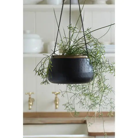 Steel Decorative hanging pot. In black with a gold strip with no drainage holes for indoor houseplants, cacti and succulents. With a 19.5cm diameter.
