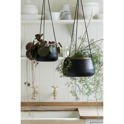 Steel Decorative hanging pot. In black with a gold strip with no drainage holes for indoor houseplants, cacti and succulents. With a 19.5cm diameter.