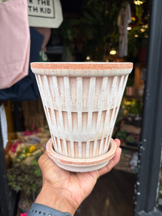 Bergs Potter | Pantheon | Rosa Pot & Saucer