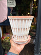 Bergs Potter | Pantheon | Rosa Pot & Saucer