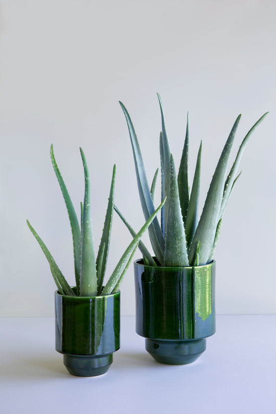 Bergs Potter | Hoff | Glazed Emerald Green Pot