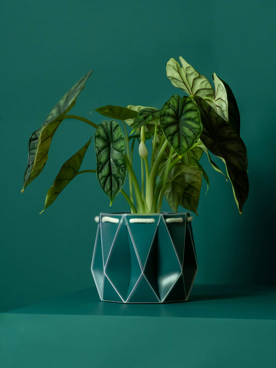 POTR | Dark Teal Self-Watering Plant Pot | 15cm