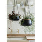 Sahara Sunset Large Hanging Pot | Black | 19.5cm
