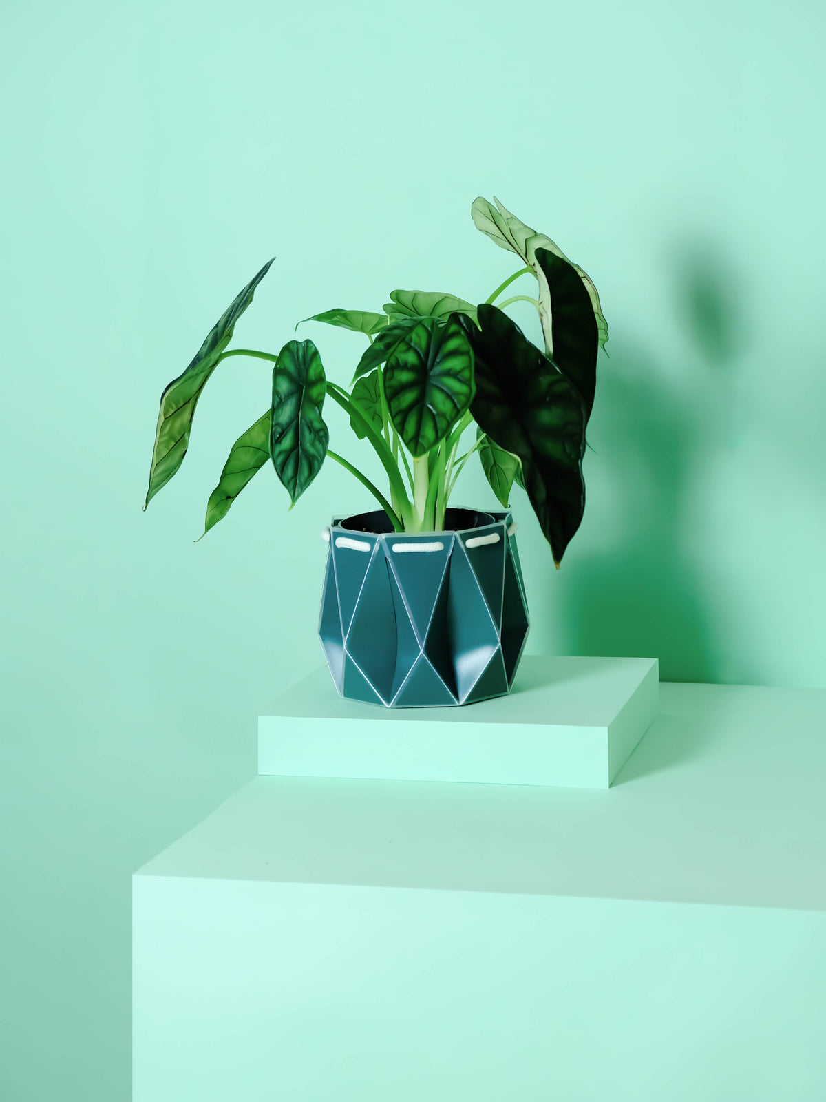 POTR | Dark Teal Self-Watering Plant Pot | 15cm