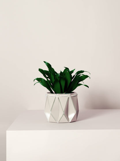 POTR | Ivory White Self-Watering Plant Pot | 18cm