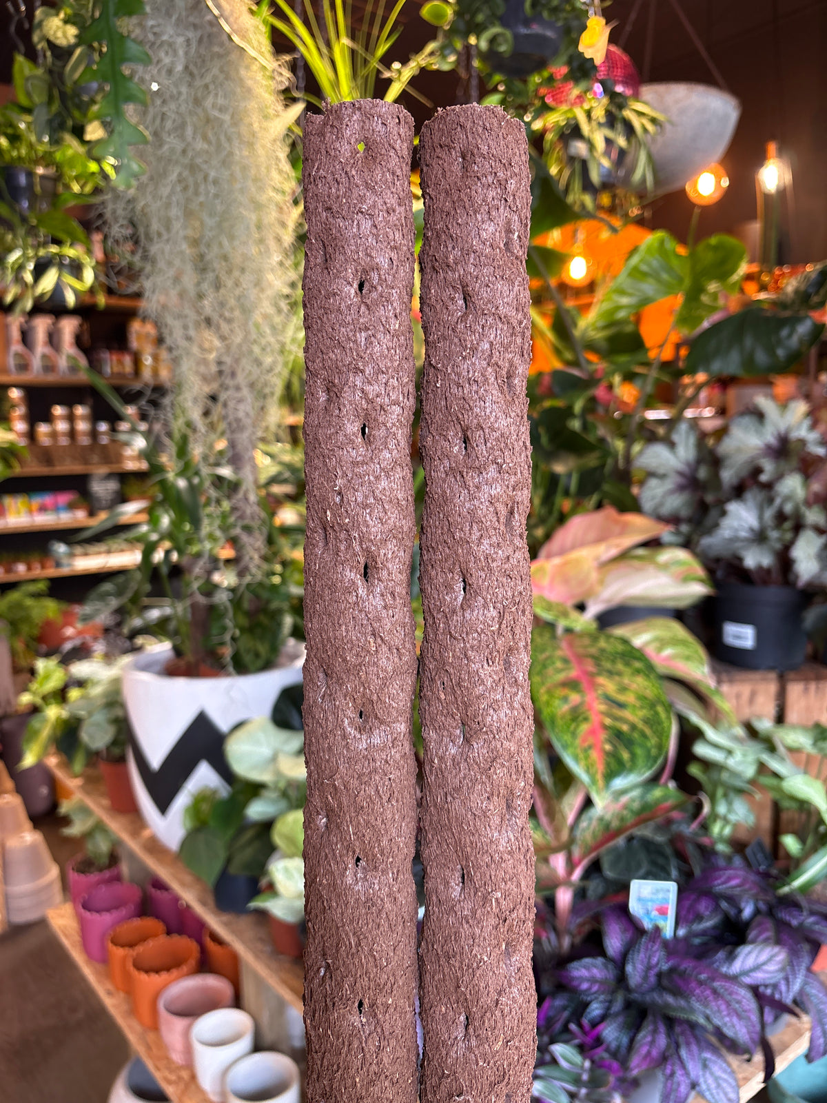 Kratiste Climbing Pole