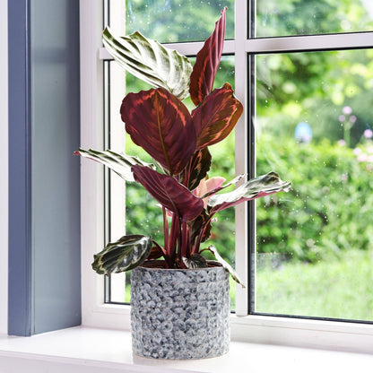 Terni Premium Glaze Ceramic Indoor Planter | Denim Blue | 18cm