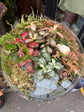 Terrarium Globe