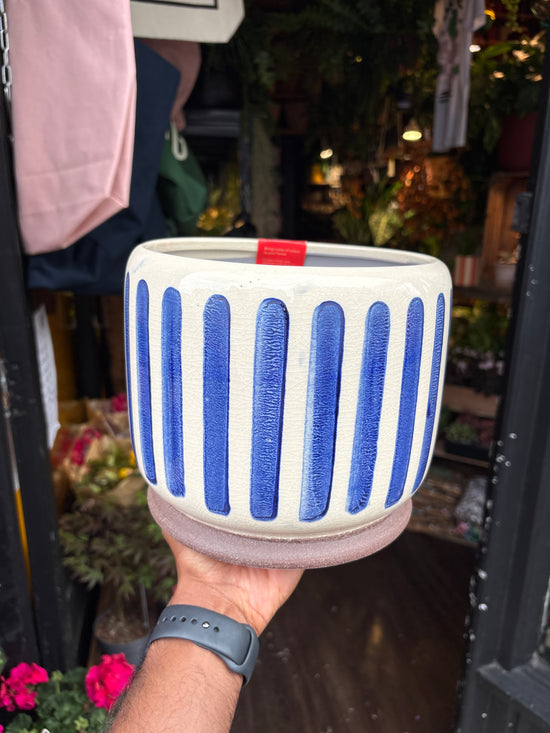 Blue Stripe Pot | 18cm