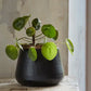 Sahara Sunset Medium Plant Pot
