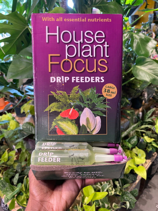 Houseplant Focus Drip Feeder | 38ml